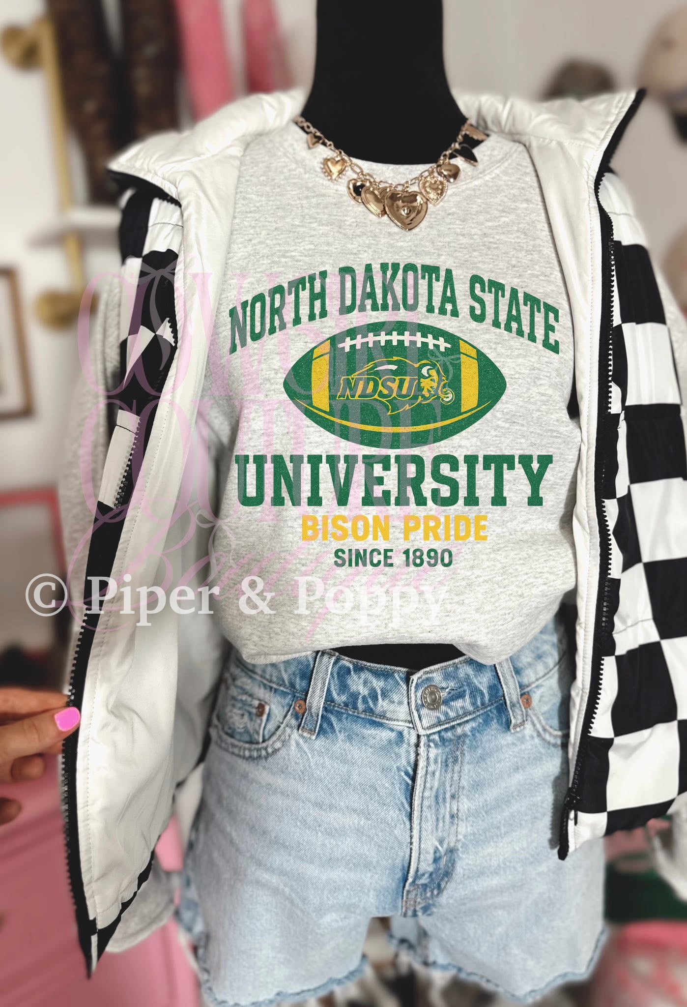 Exclusive North Dakota Football Graphic