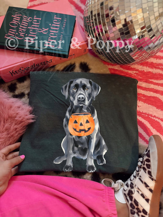 Lab Pumpkin Tee