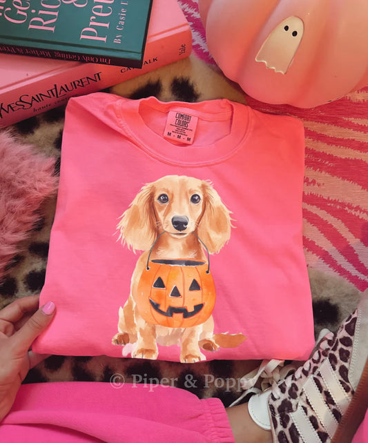 Small Dog Breeds Pumpkin Tee