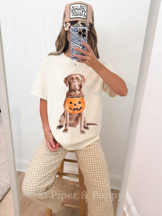 Lab Pumpkin Tee