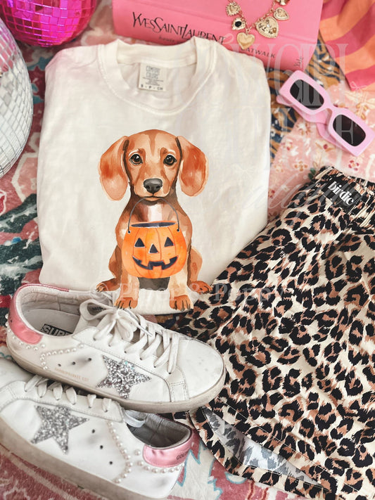 Small Dog Breeds Pumpkin Tee