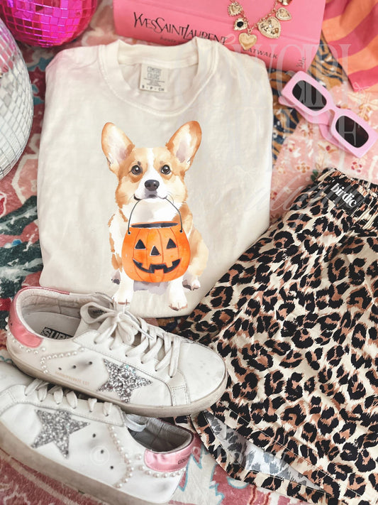Medium Dog Breeds Pumpkin Tee