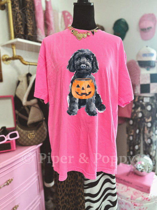Medium Dog Breeds Pumpkin Tee
